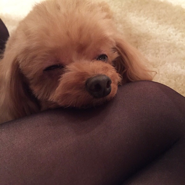 wpid-20150215095257.jpg