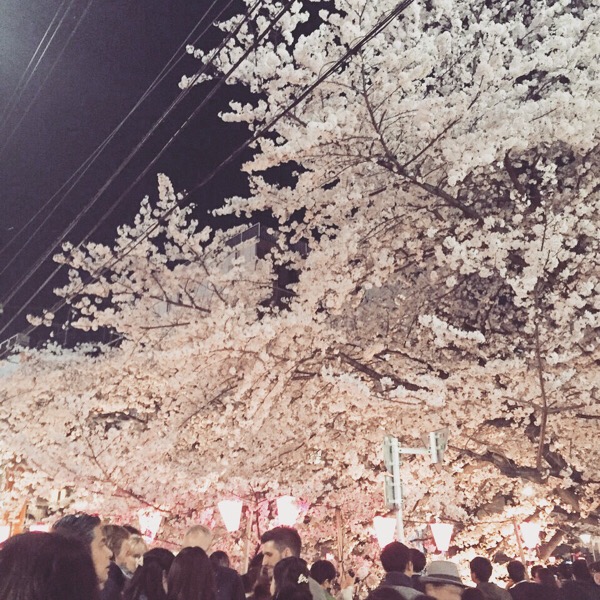 wpid-20150404043033.jpg